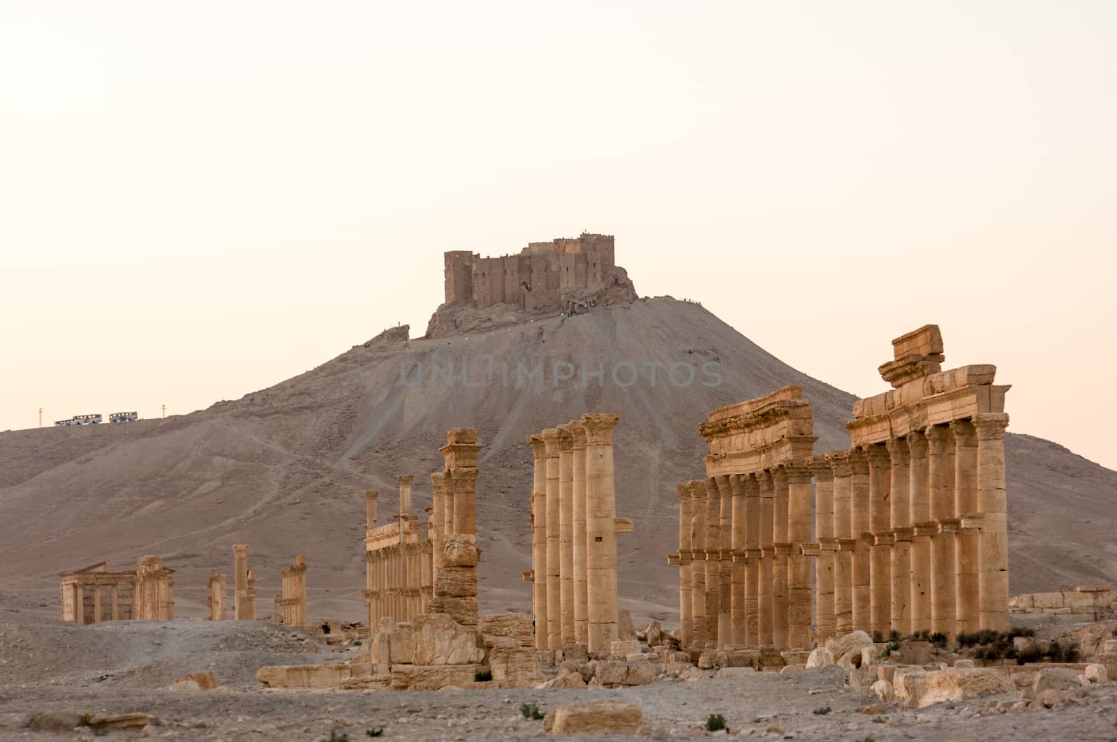 Palmyre Syria 2009 This ancient site has many Roman ruins, these standing columns shot in late afternoon sun with the citadel on the hill in the background . High quality photo