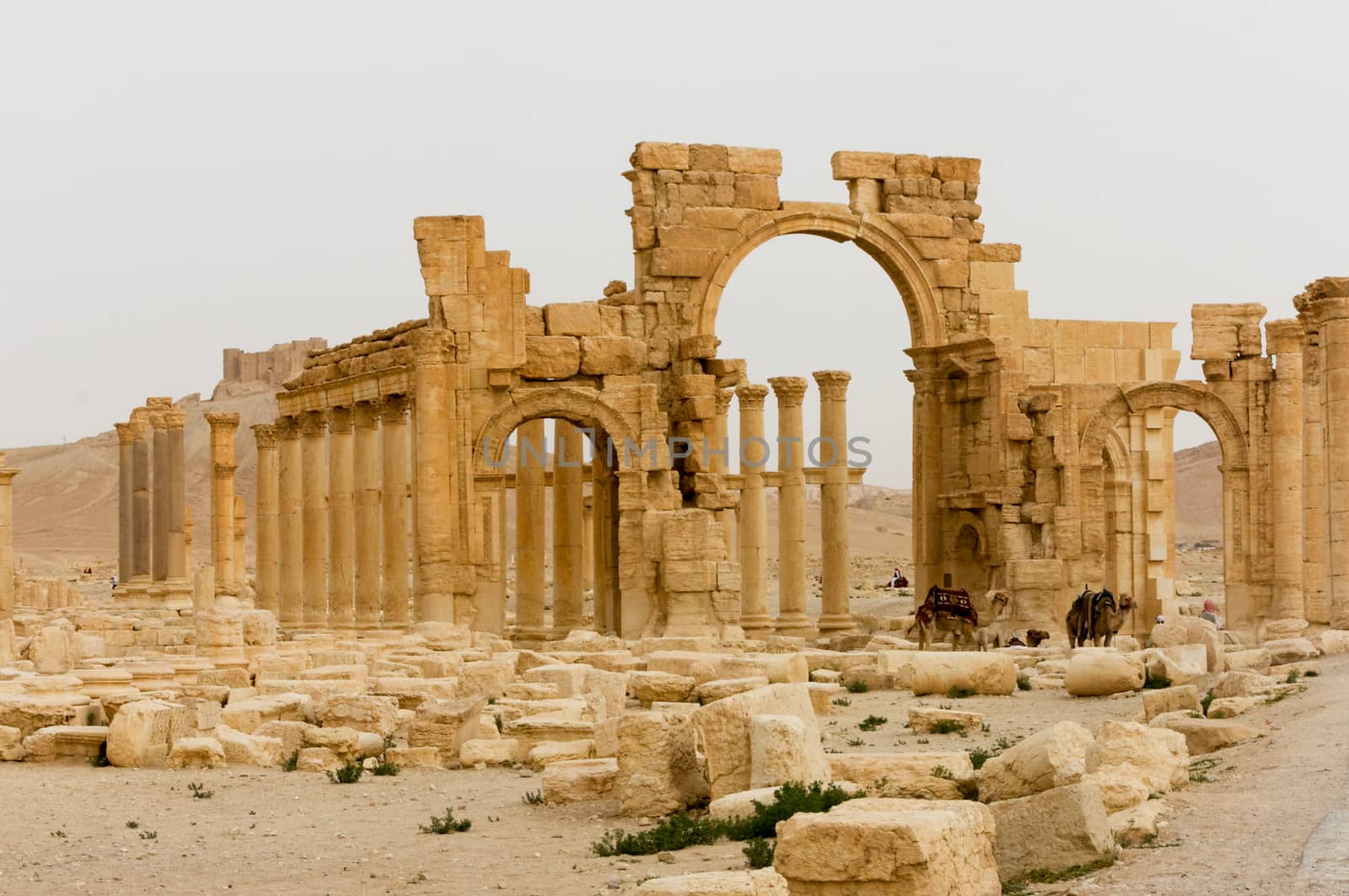 Palmyre Syria 2009 This ancient site has many Roman ruins, these standing columns and arch of triumph . High quality photo