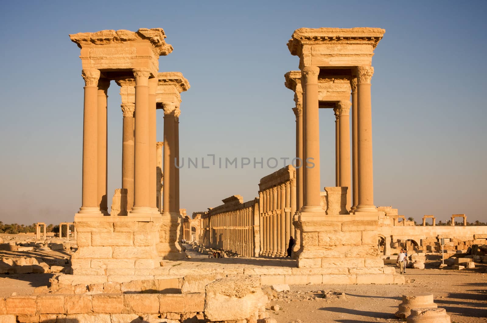 Palmyre Syria 2009 This ancient site has many Roman ruins, these standing columns shot in late afternoon sun with the tetrapylons . High quality photo
