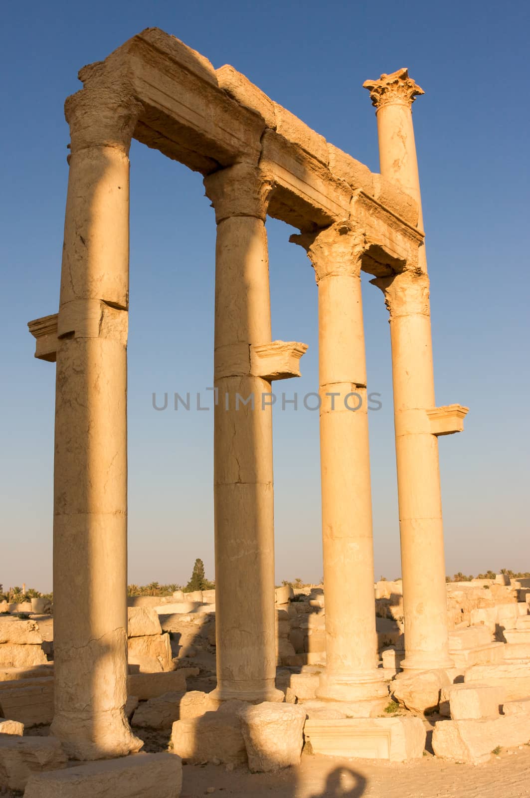 Palmyre Syria 2009 This ancient site has many Roman ruins, these standing columns shot in late afternoon sun . High quality photo