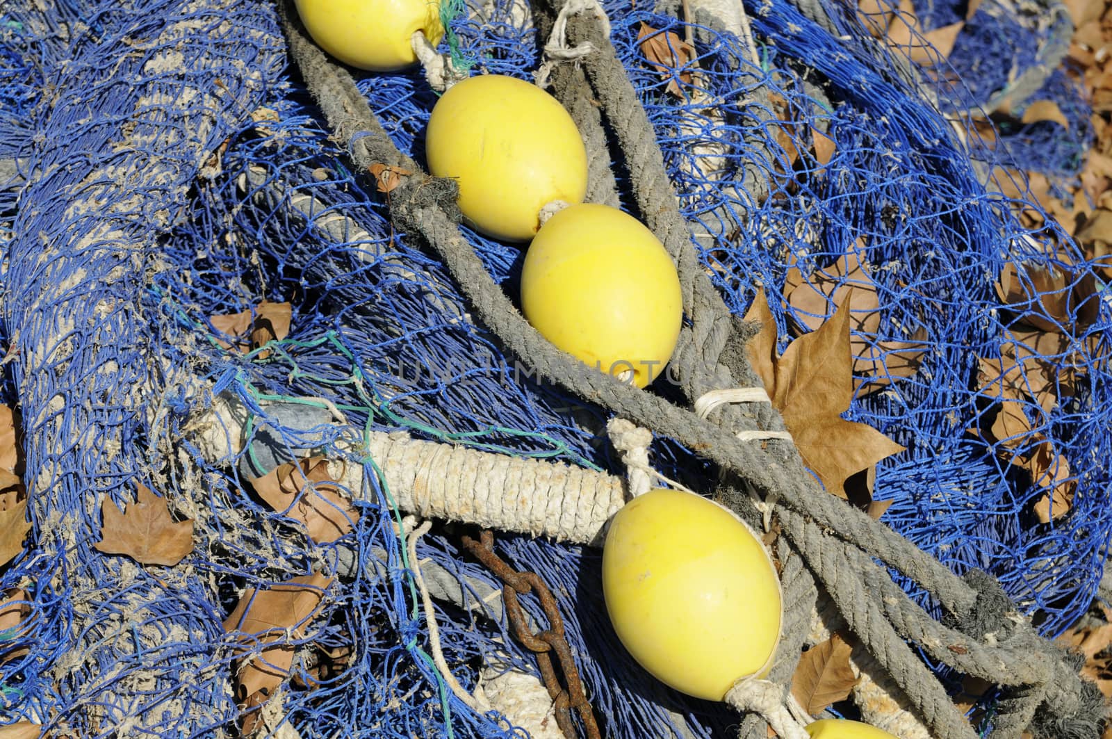 Fishing net with yellow floats laid out to dry.