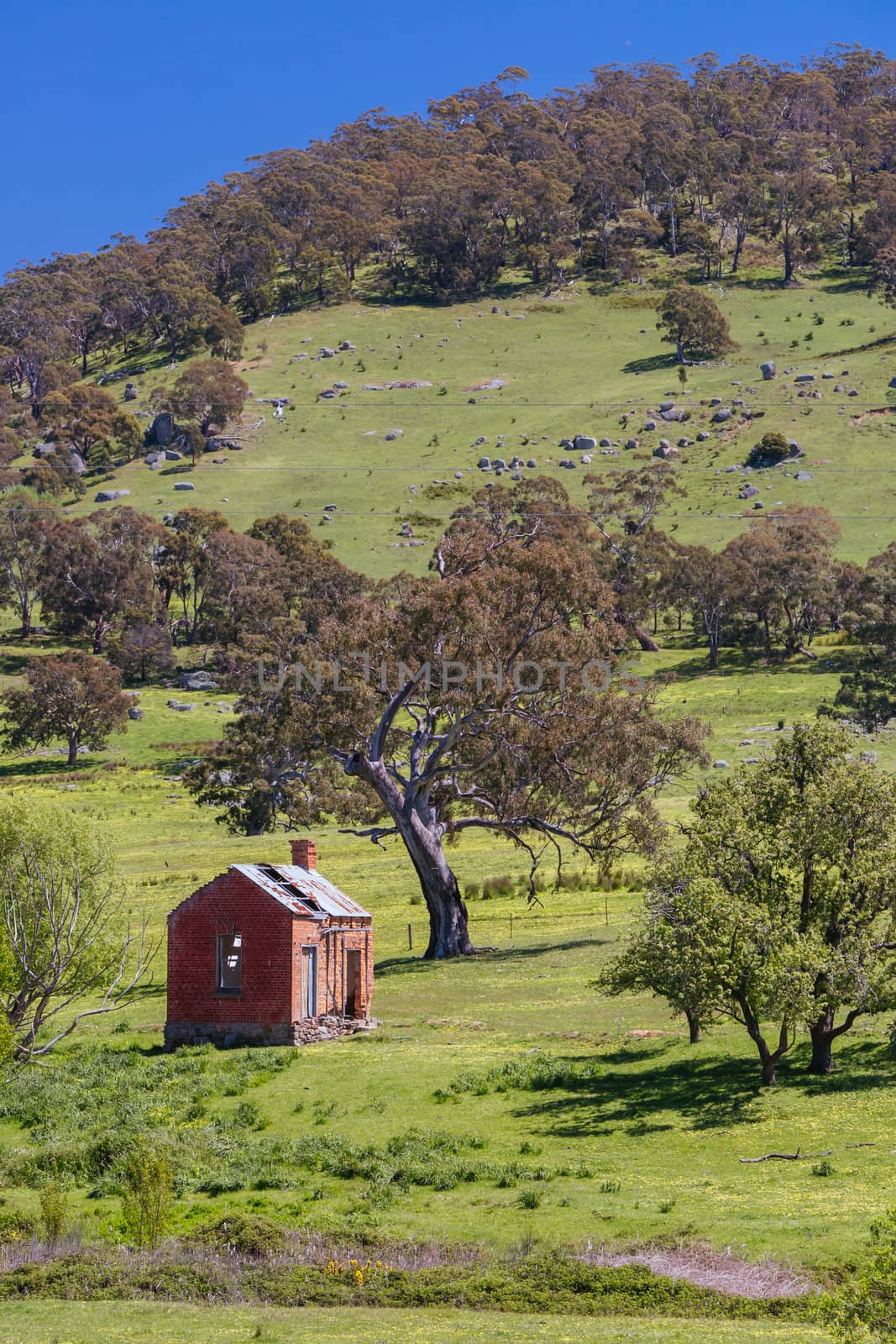 Rural abandoned brick building near Maldon and Castlemaine on a clear sunny day in the Victorian goldfields, Australia