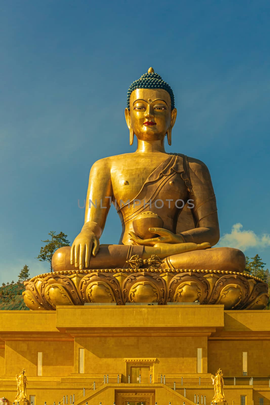 Giant golden Buddha sitting in a shell - Thimphu, Bhutan by COffe