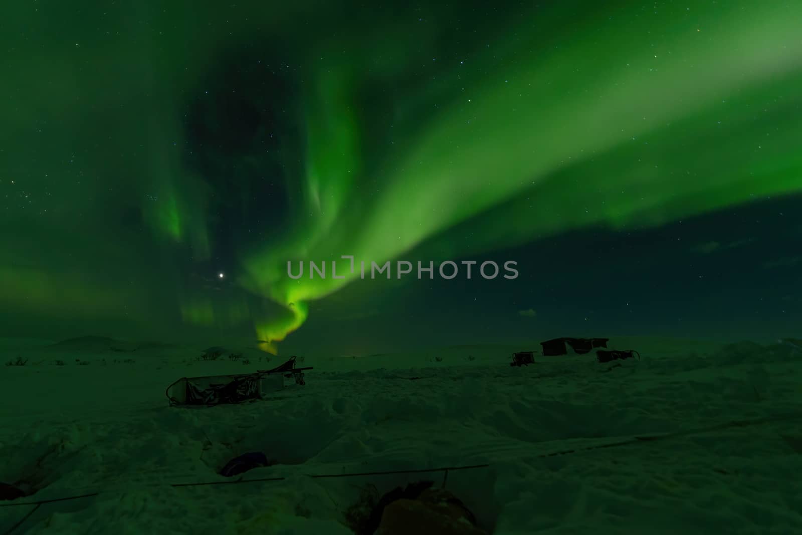 Northern lights Aurora Borealis over sled dogs sleeping in Lapland, Sweden by COffe