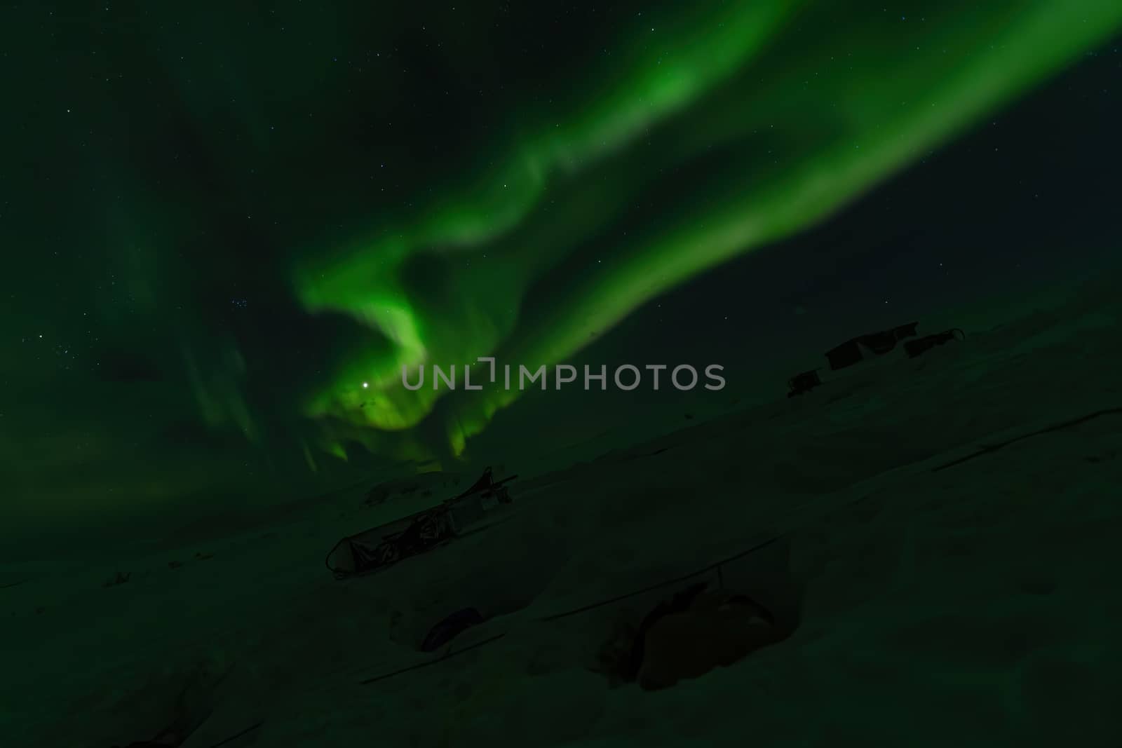 Northern lights Aurora Borealis over sled dogs sleeping in Lapland, Sweden by COffe