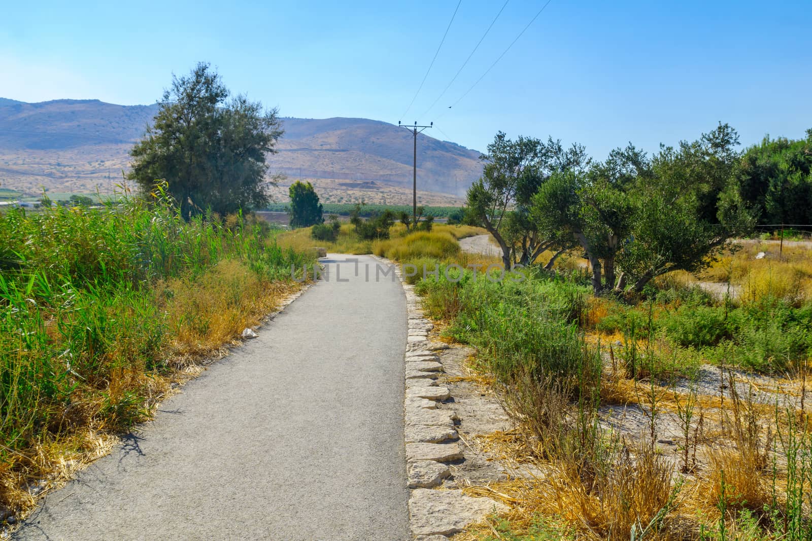 Footpath, with visitors, in the Spring Valley Park by RnDmS