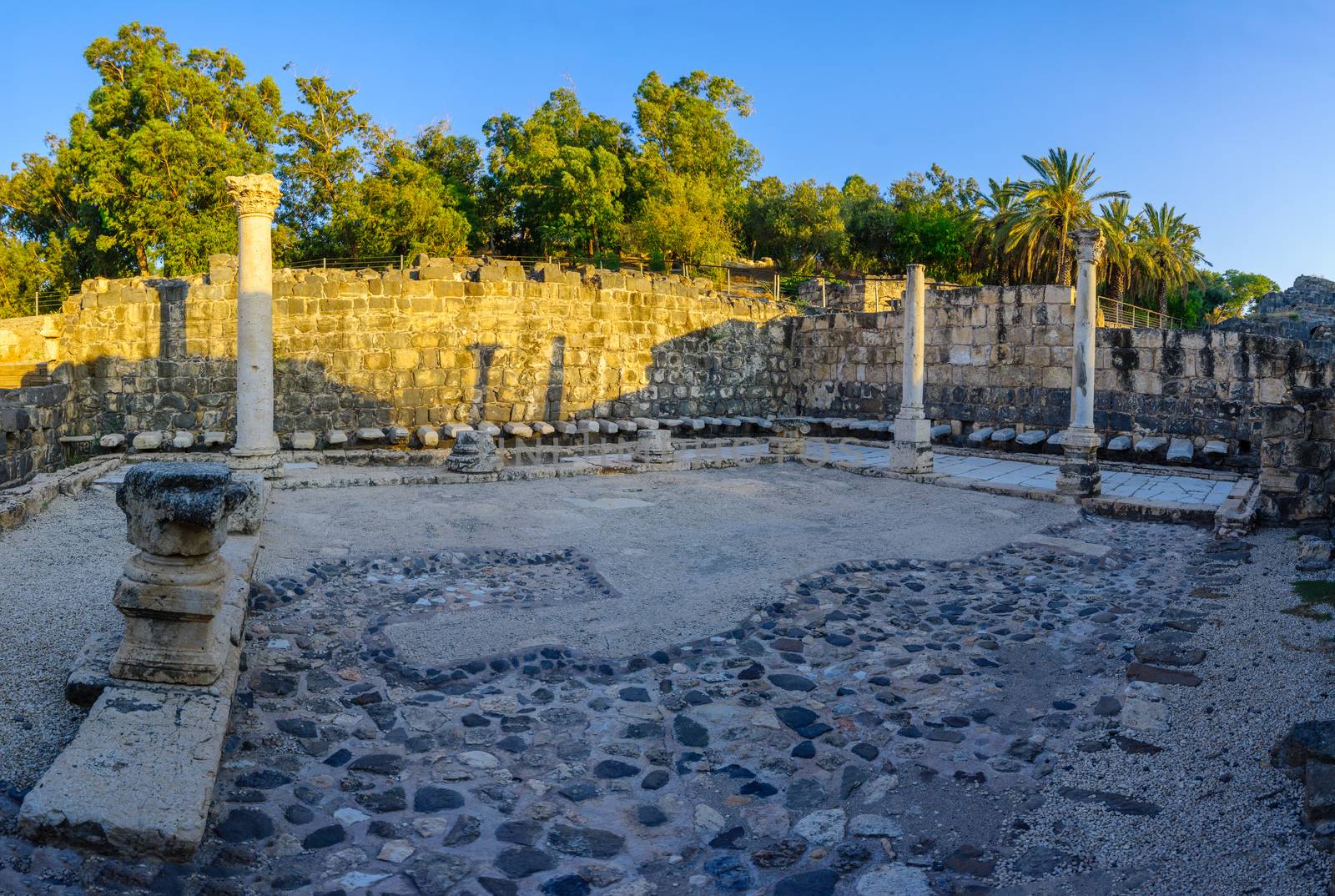 Public latrine, ancient Roman-Byzantine city of Bet Shean (Nysa- by RnDmS