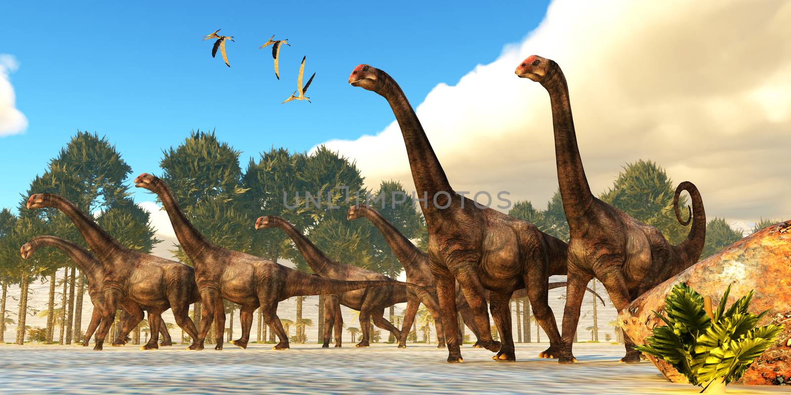 A flock of Pteranodon reptiles fly over a herd of Brontomerus dinosaurs during the Cretaceous Period.