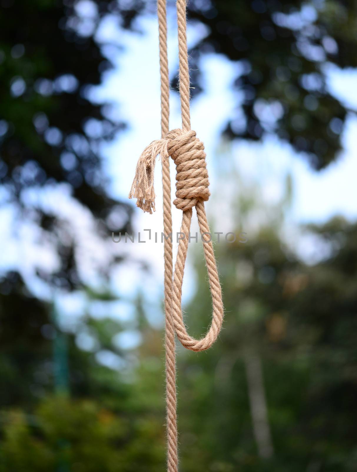Gallows Hanging Rope by tony4urban