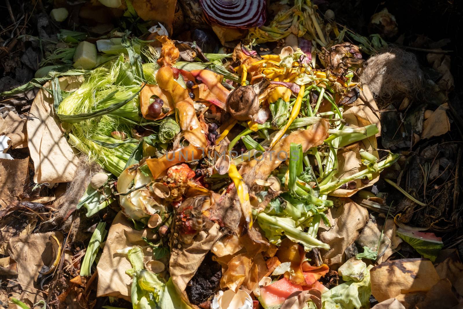 A Pile of Compost with Kitchen Waste by colintemple