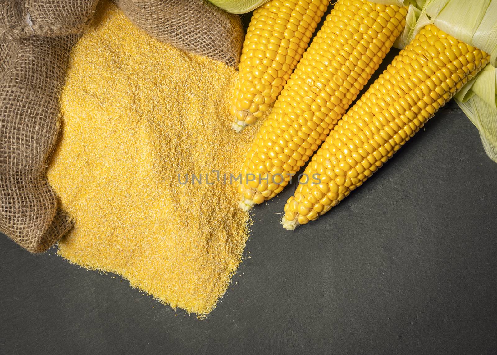 Ripe young sweet corn cob,on left stack cornmeal on dark background, copy space.Gluten free food concept