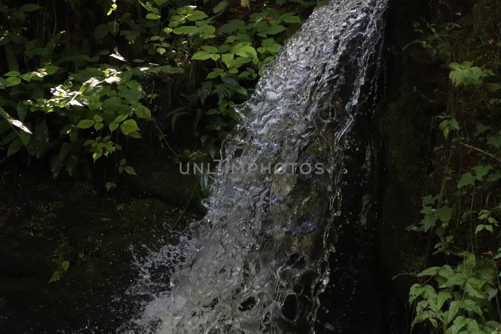 natural landscape with waterfalls in Trentino in northern Italy