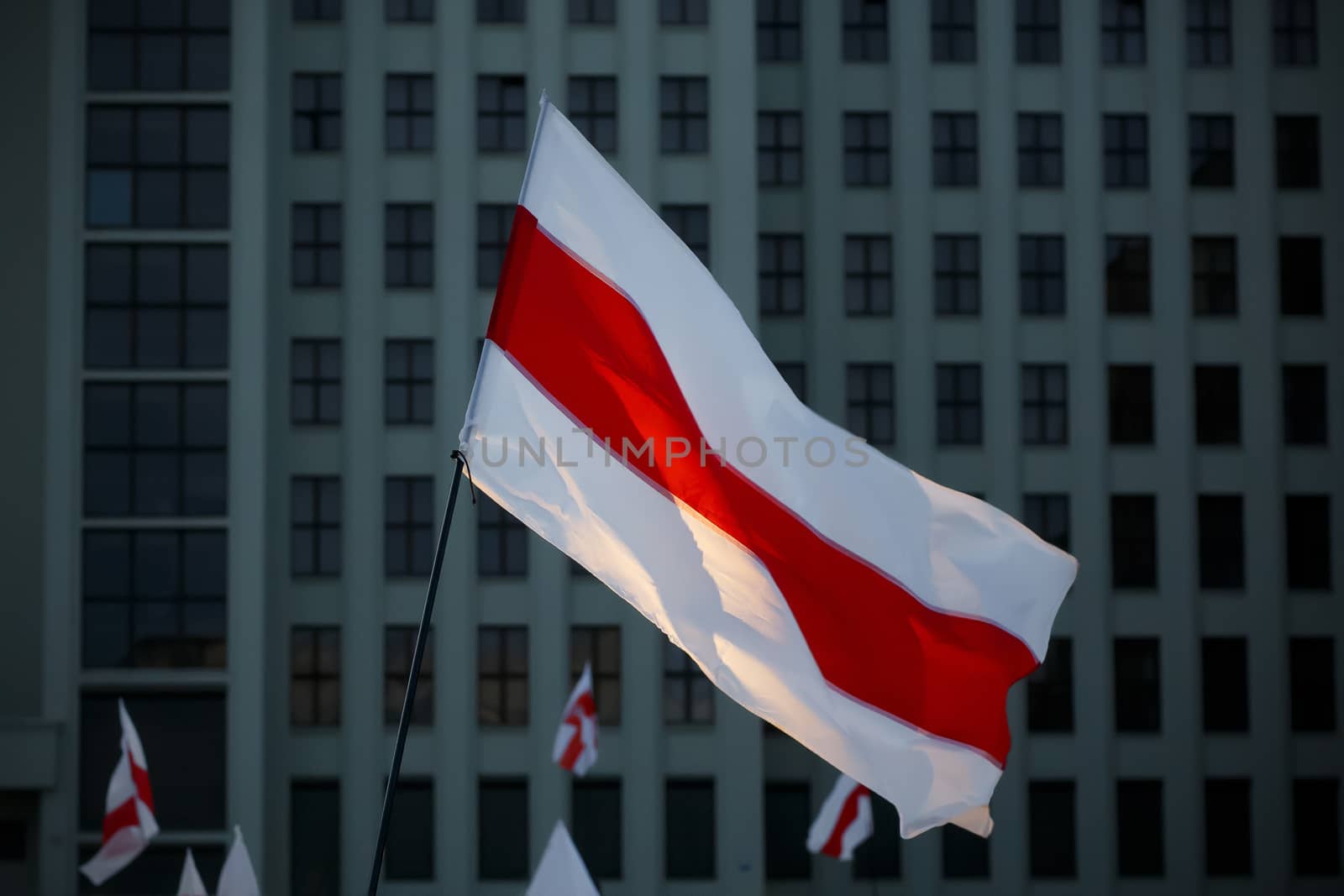 New Belarus white-red-white flag. Protest and historical authentic flag.