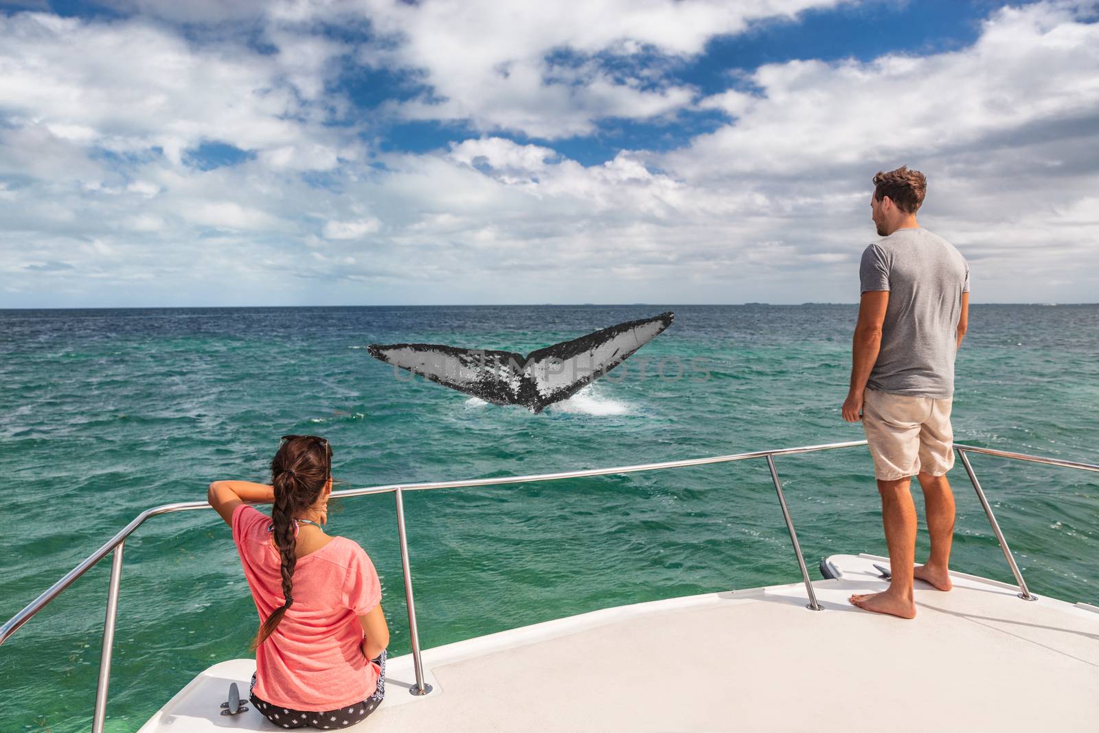 Whale watching boat tour tourists people on ship looking at humpback tail breaching ocean in tropical destination, summer travel vacation. Couple on deck of catamaran.