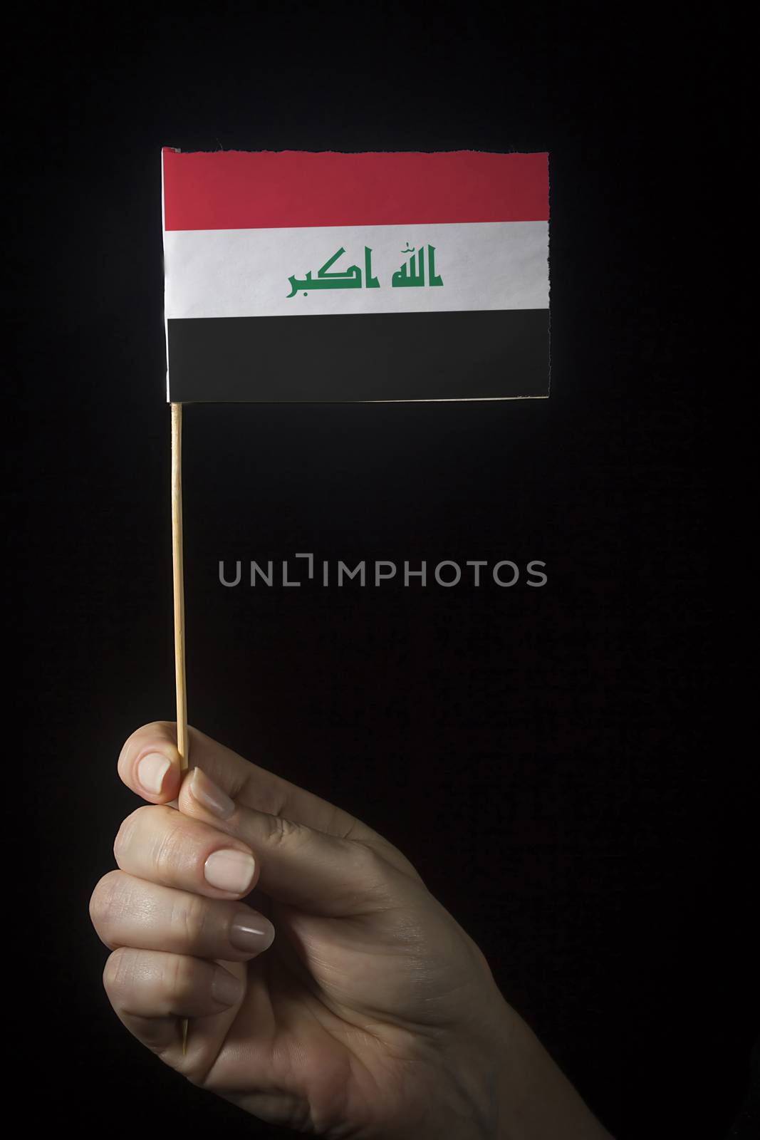 Hand with flag of Iraq by VIPDesignUSA