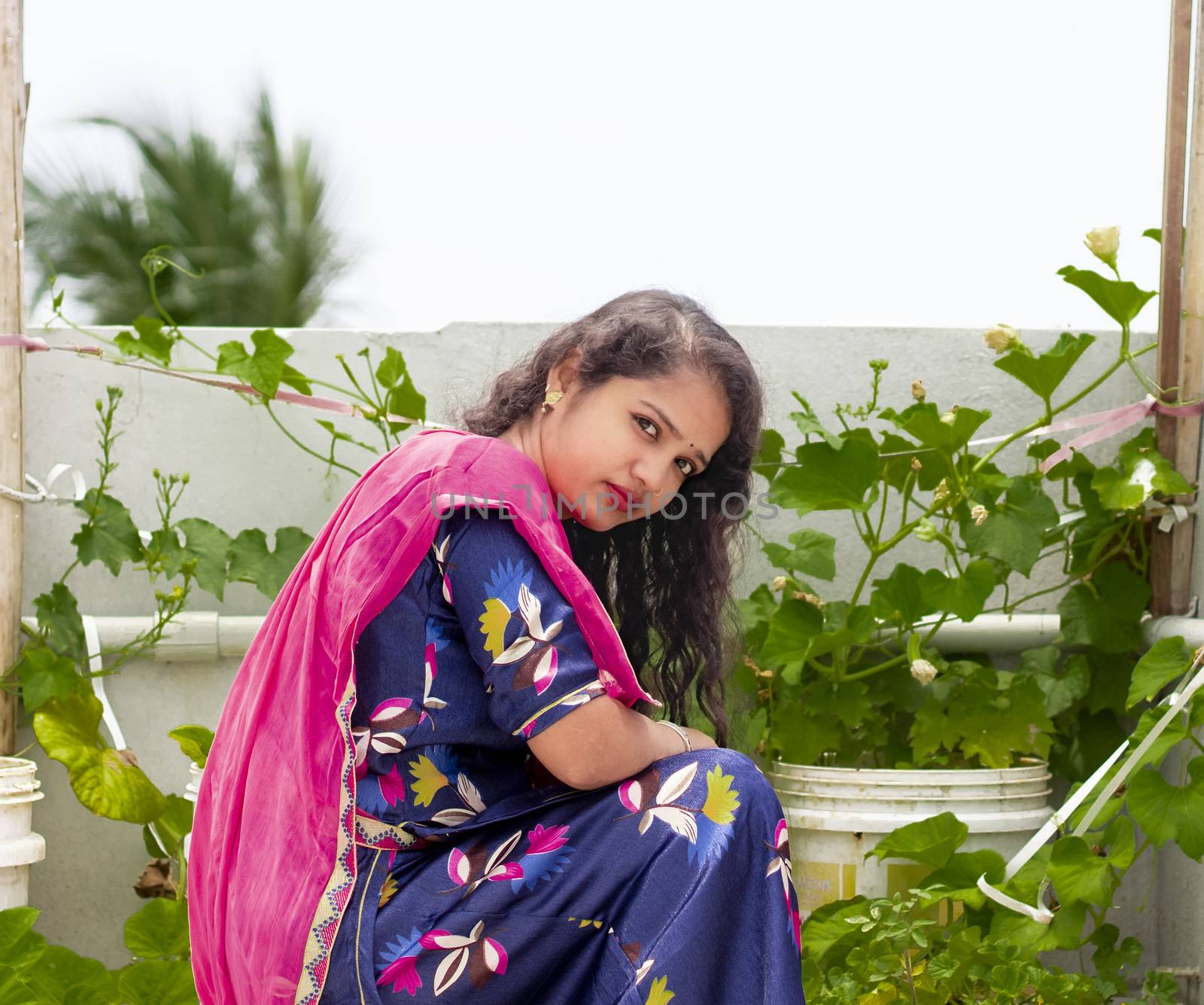 A portrait of a beautiful asian woman sitting over home roof on sunday , Young hindu girl wearing purple choli and lehanga with pink chunari according rajputana culture