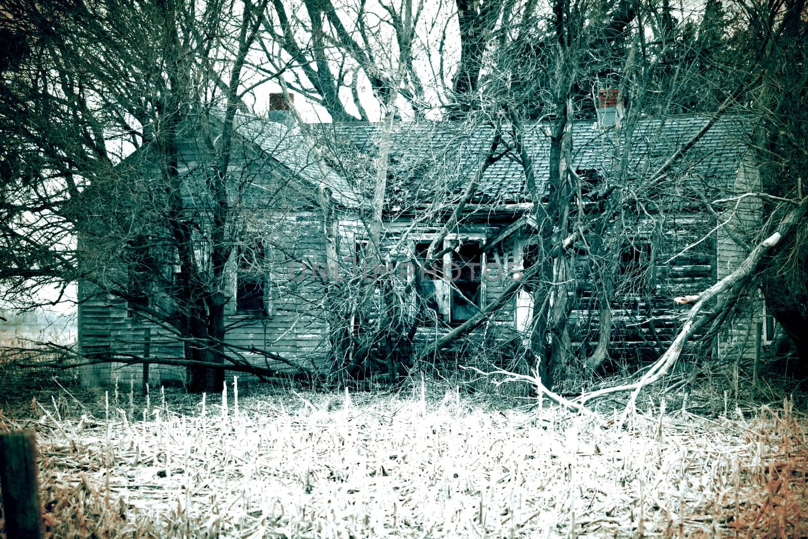 Nebraska Farmland old time photo of old abandon farm house . High quality photo