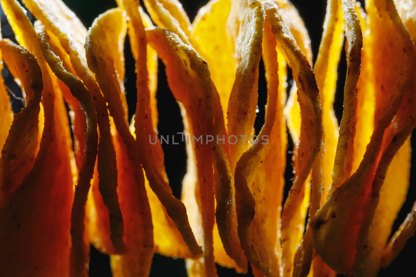 mexican nachos tortilla chips, close-up view by nikkytok