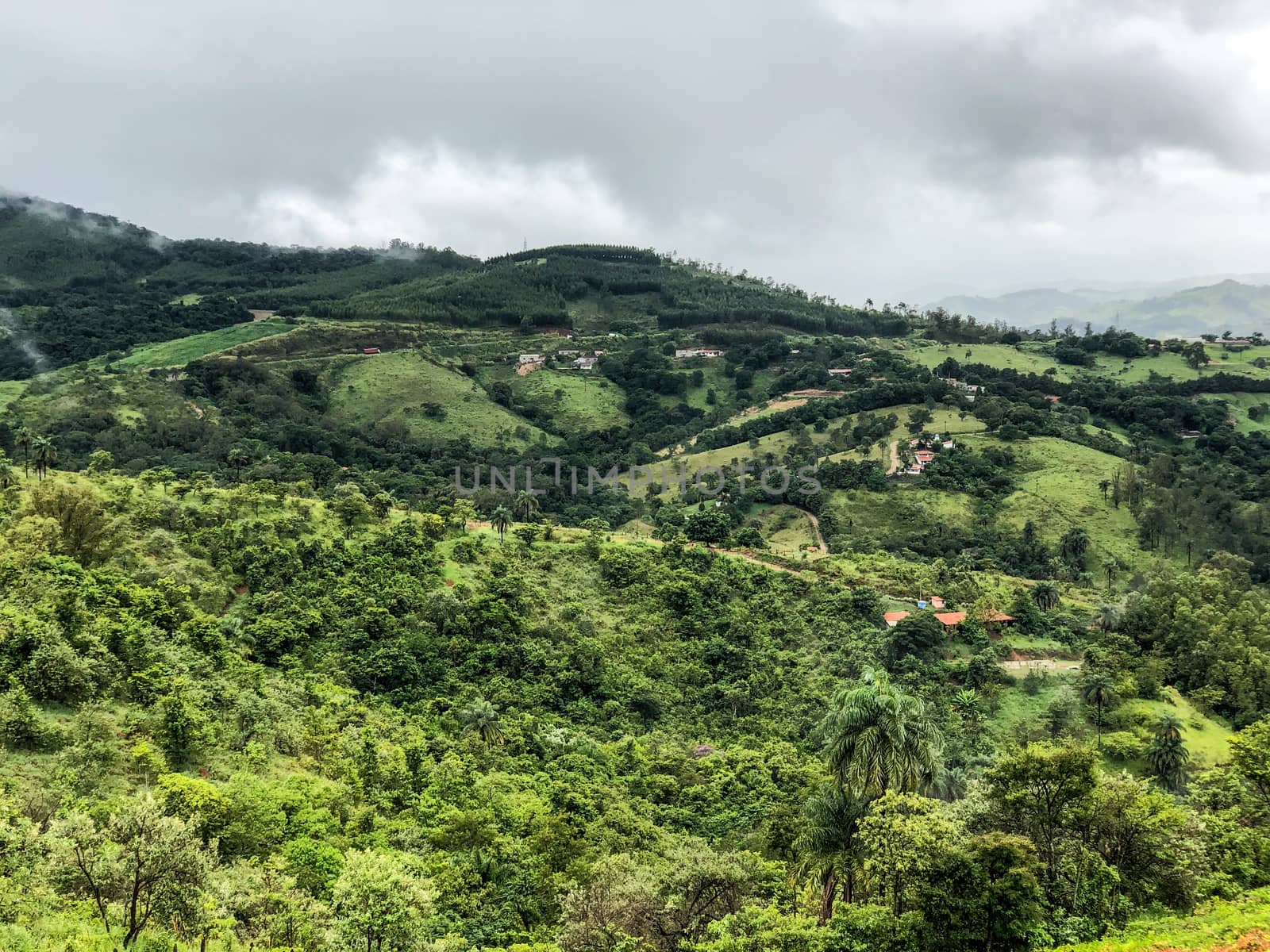 Vineyards in the mountain during cloudy raining season by Bonandbon