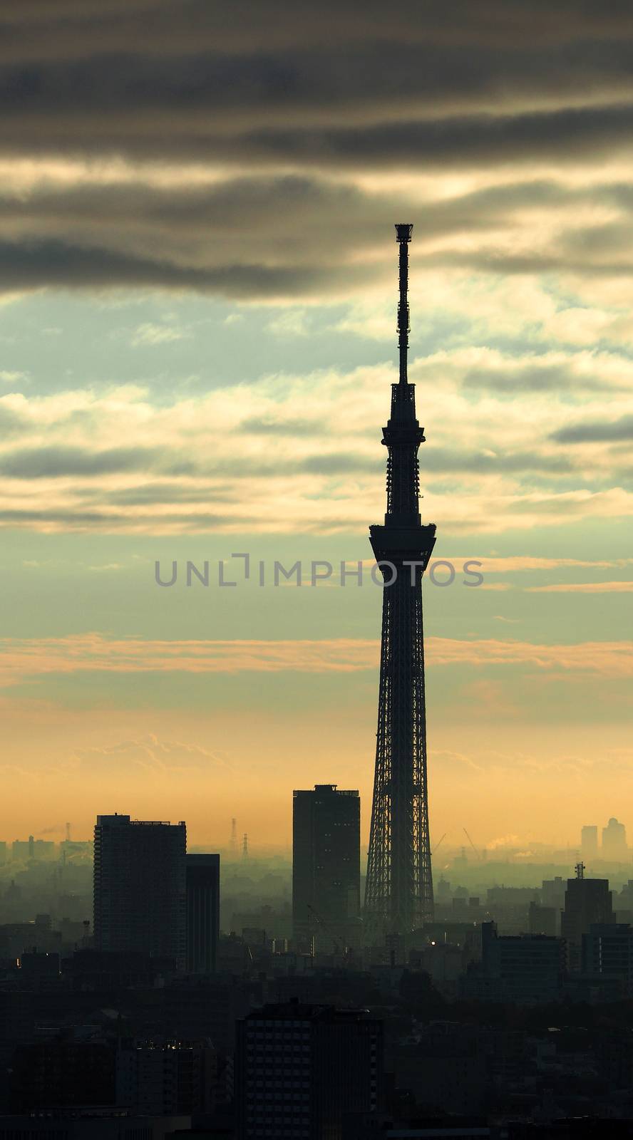 Tokyo Sky tree silhouette building and sunset with sky and clouds.