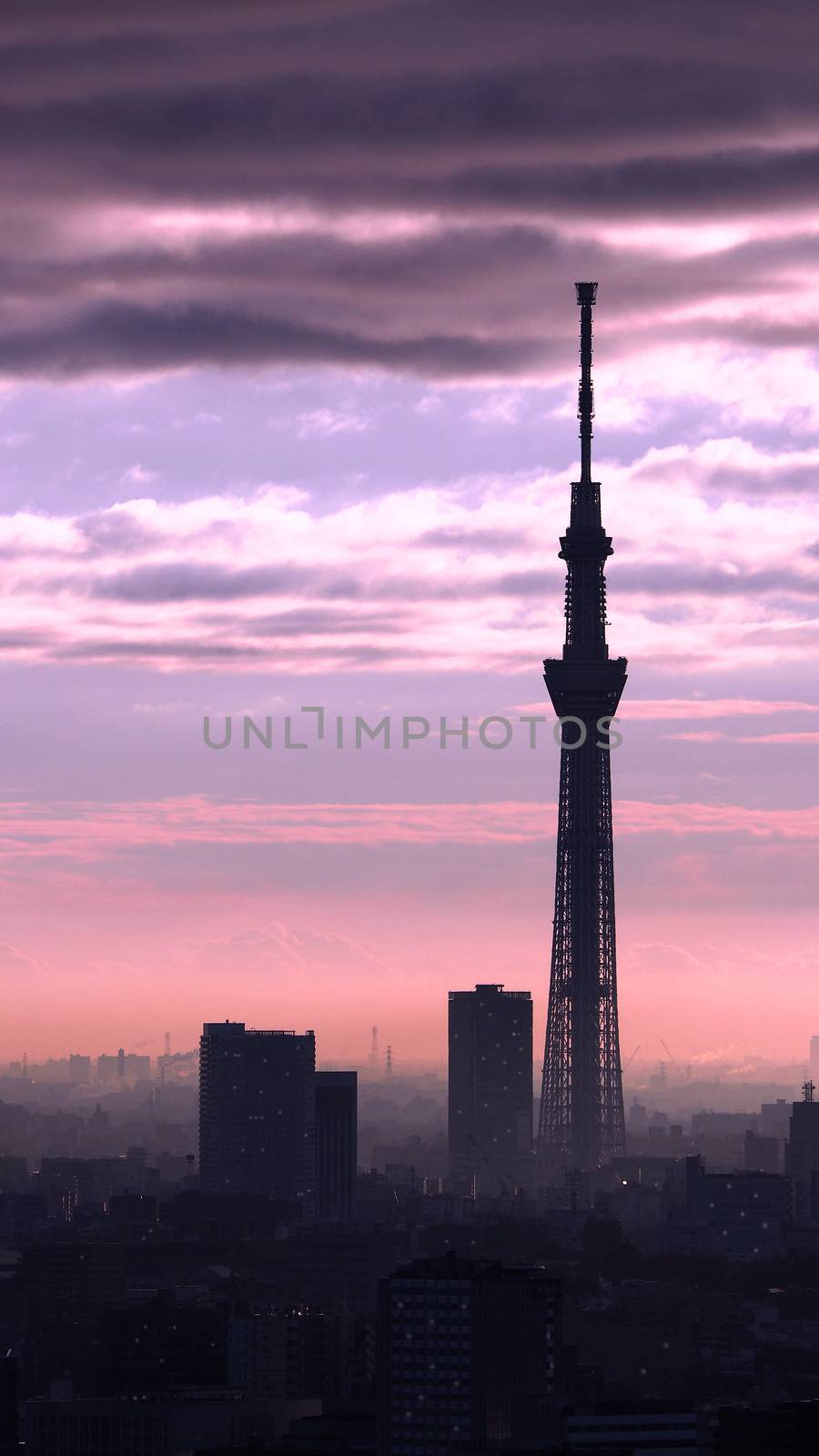 Tokyo Sky tree silhouette building and sunset with sky and clouds.