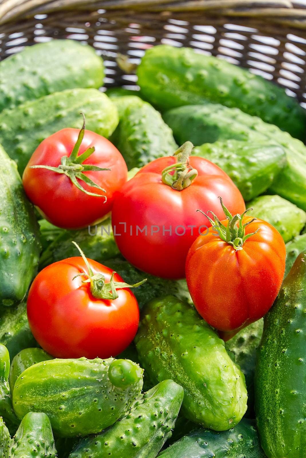 cucumbers and tomatoes in a wicker basket close-up. village eco food home gardening concept. by PhotoTime