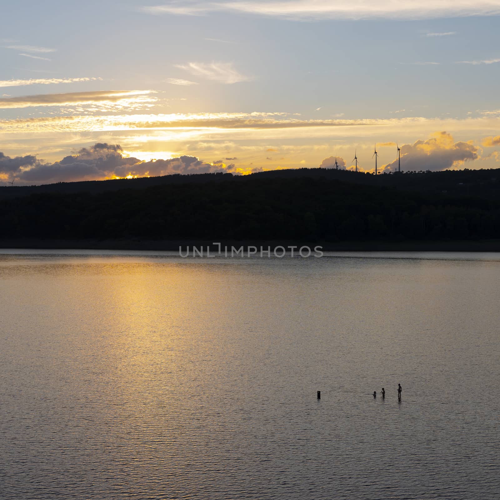 three people swim in calm lake rursee at sunset in German national park eifel with wind turbines in the background