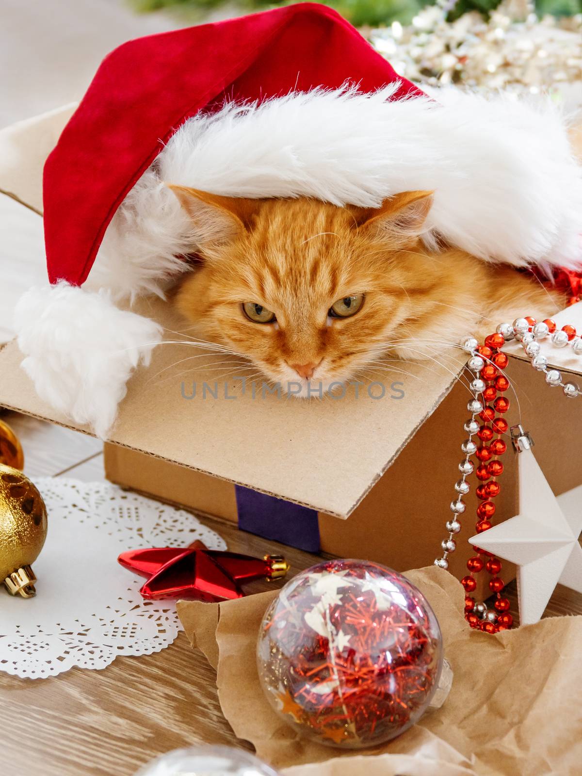 Cute ginger cat lies in box with Christmas and New Year decorations on wooden background. Fluffy pet with red Santa Claus hat. Fuzzy domestic animal during winter holiday preparation.