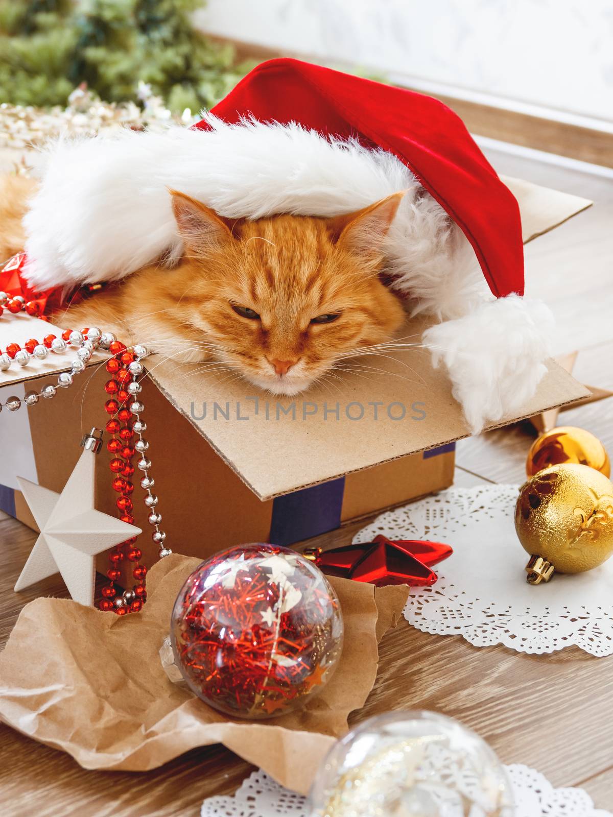 Cute ginger cat lies in box with Christmas and New Year decorations on wooden background. Fluffy pet with red Santa Claus hat. Fuzzy domestic animal during winter holiday preparation.