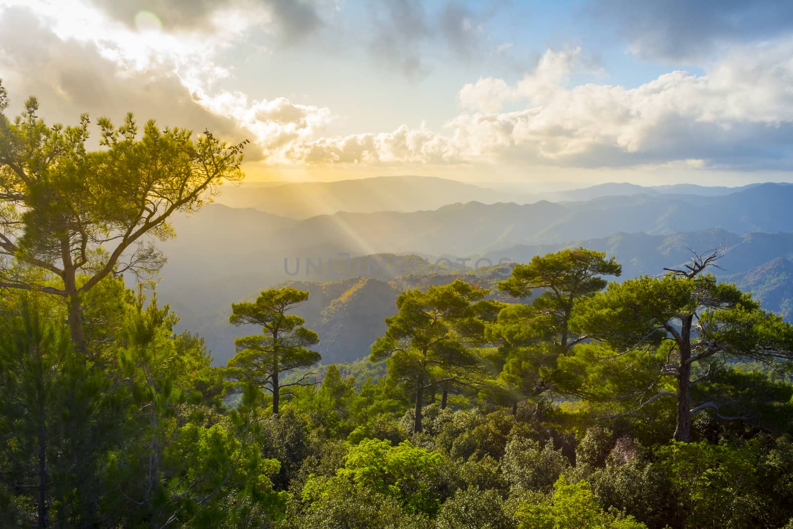 Pano Platres landscape in Troodos mountains during sunset, Cyprus by kb79