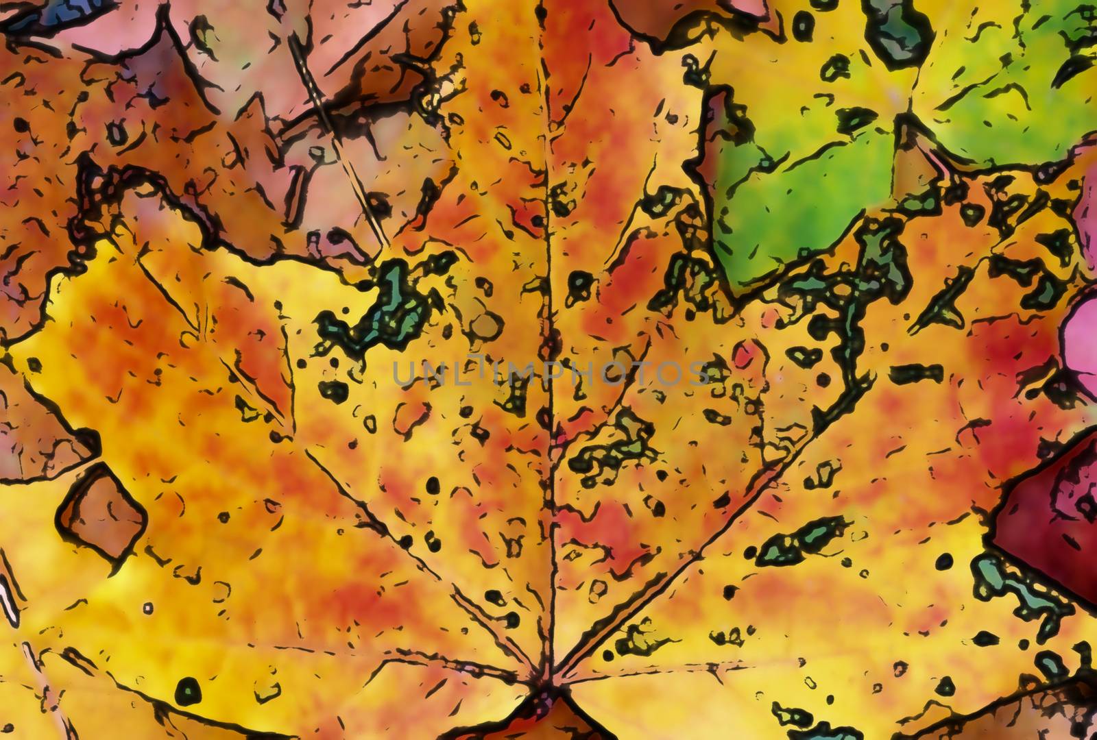 Comic style painting of colorful autumn leaves for backgrounds o by MP_foto71