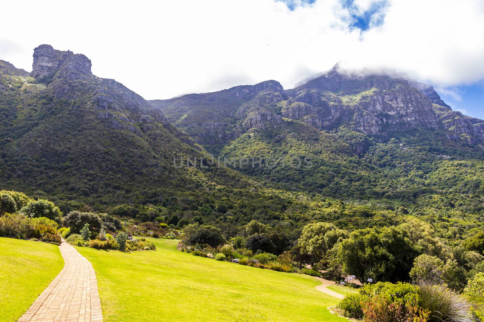 Kirstenbosch National Botanical Garden, Cape Town, South Africa. by Arkadij