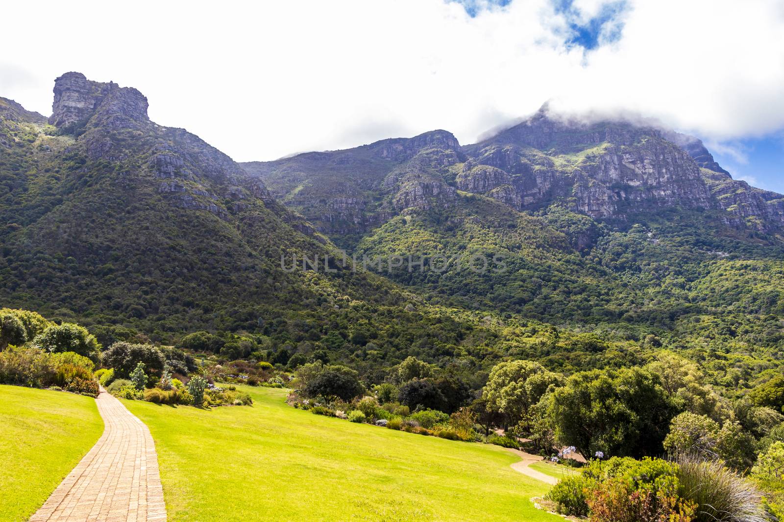 Mountains and trails Kirstenbosch National Botanical Garden, Cape Town, South Africa.