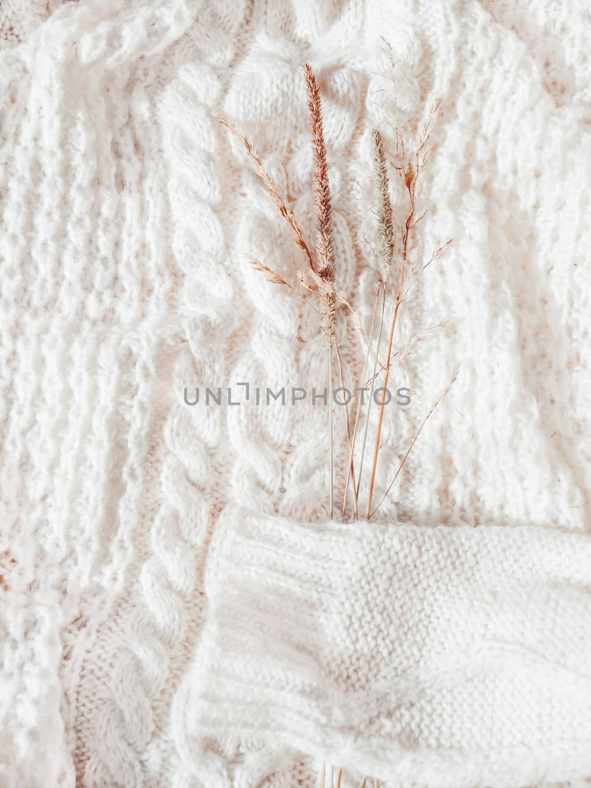 Top view on white knitted sweater with dried grass. Autumn concept flat lay. Warm cardigan with plants on it. Rustic authentic lifestyle background.