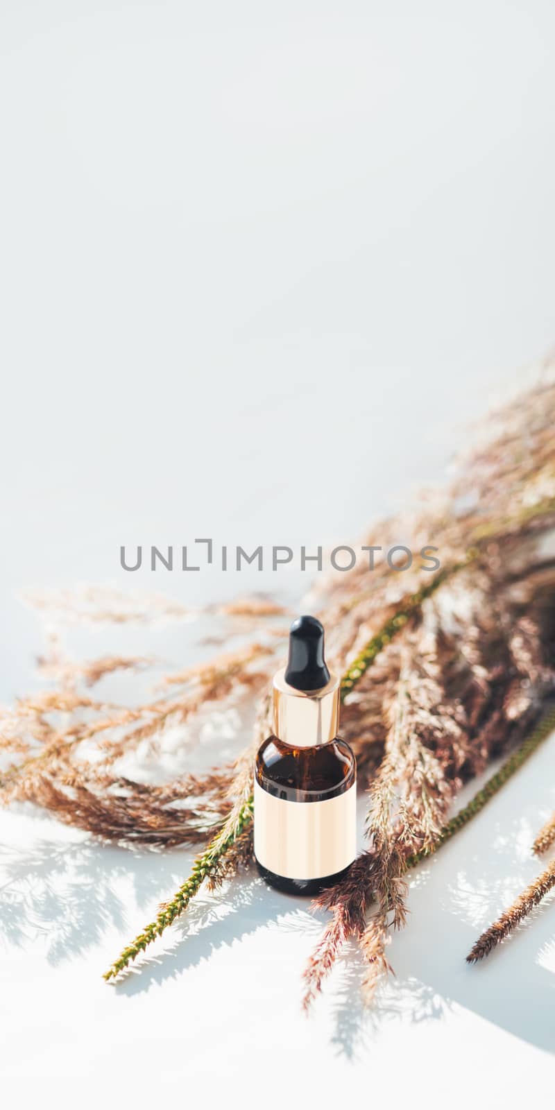 Concept of apothecary cosmetic. Herbs and brown glass bottle of essential oil in still life composition on light blue and white background. Sunlight and shadow. Natural cosmetic remedy with white tag.