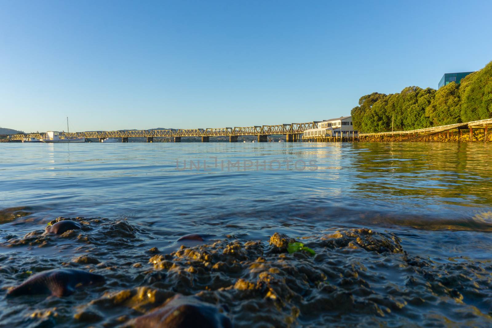 Tauranga Strand water's edge and Railway bridge catches glow from sunrise in distance across  blue calm water in low level background image.