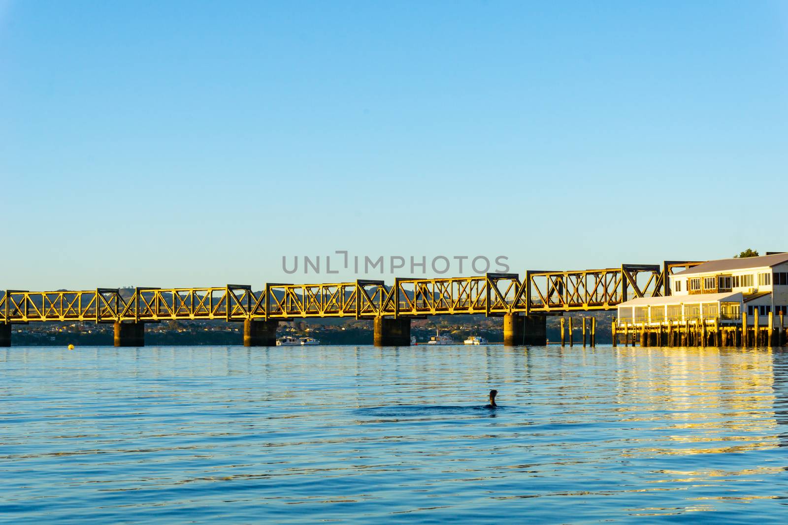 Tauranga Railway bridge catches glow from sunrise in distance across  blue calm water in low level background image.