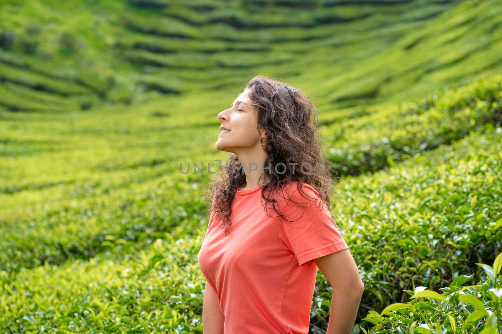 Beautiful brunette girl posing in the middle of the tea valley between green tea bushes