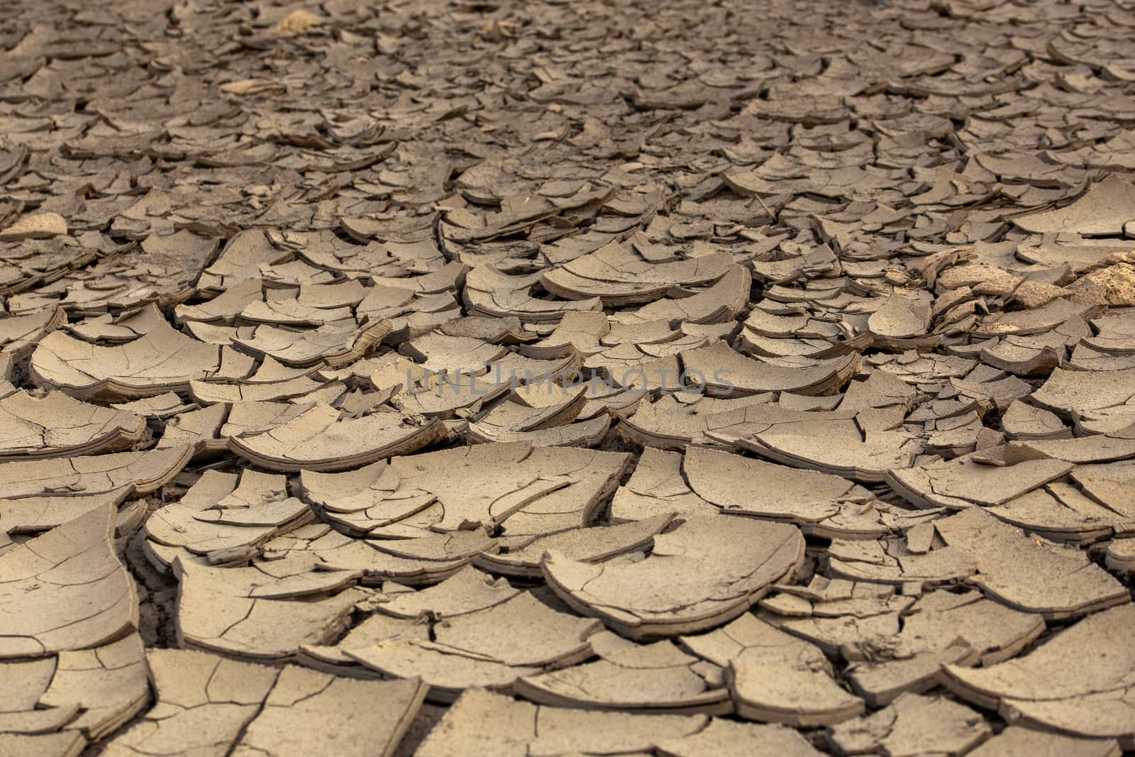 dry cracked mud desert like gray background, scorched earth with selective focus and blur