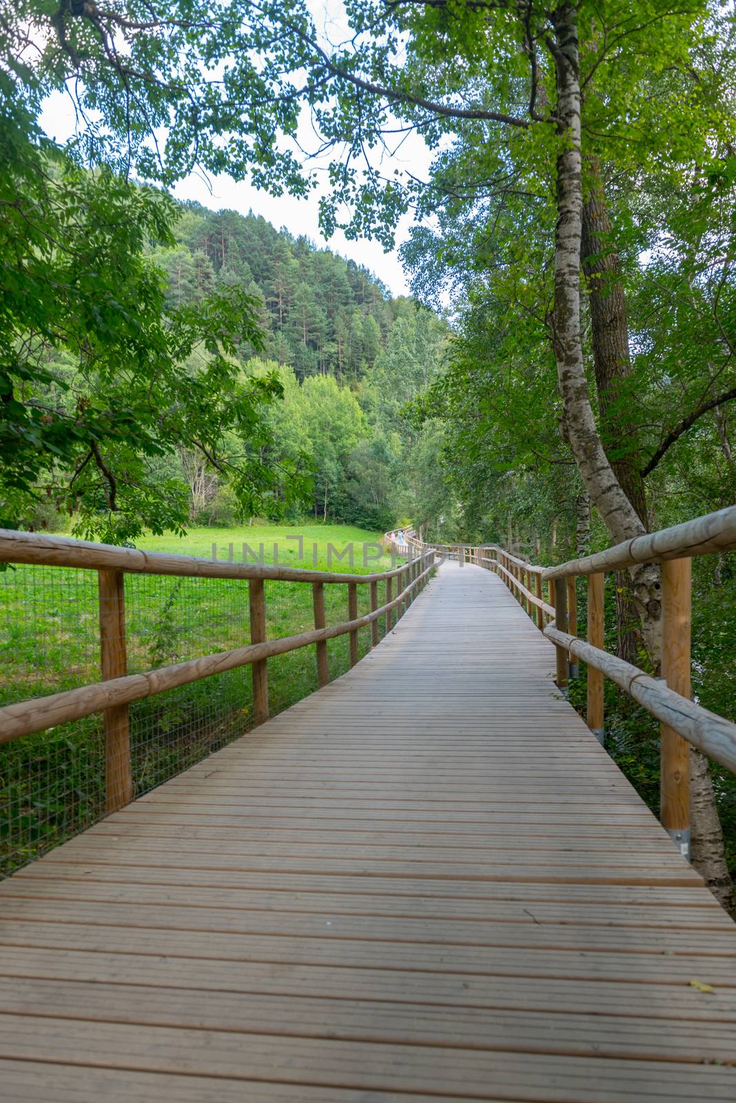 Bridge the Valira del Orient river in Cami Ral in summer in Andorra.