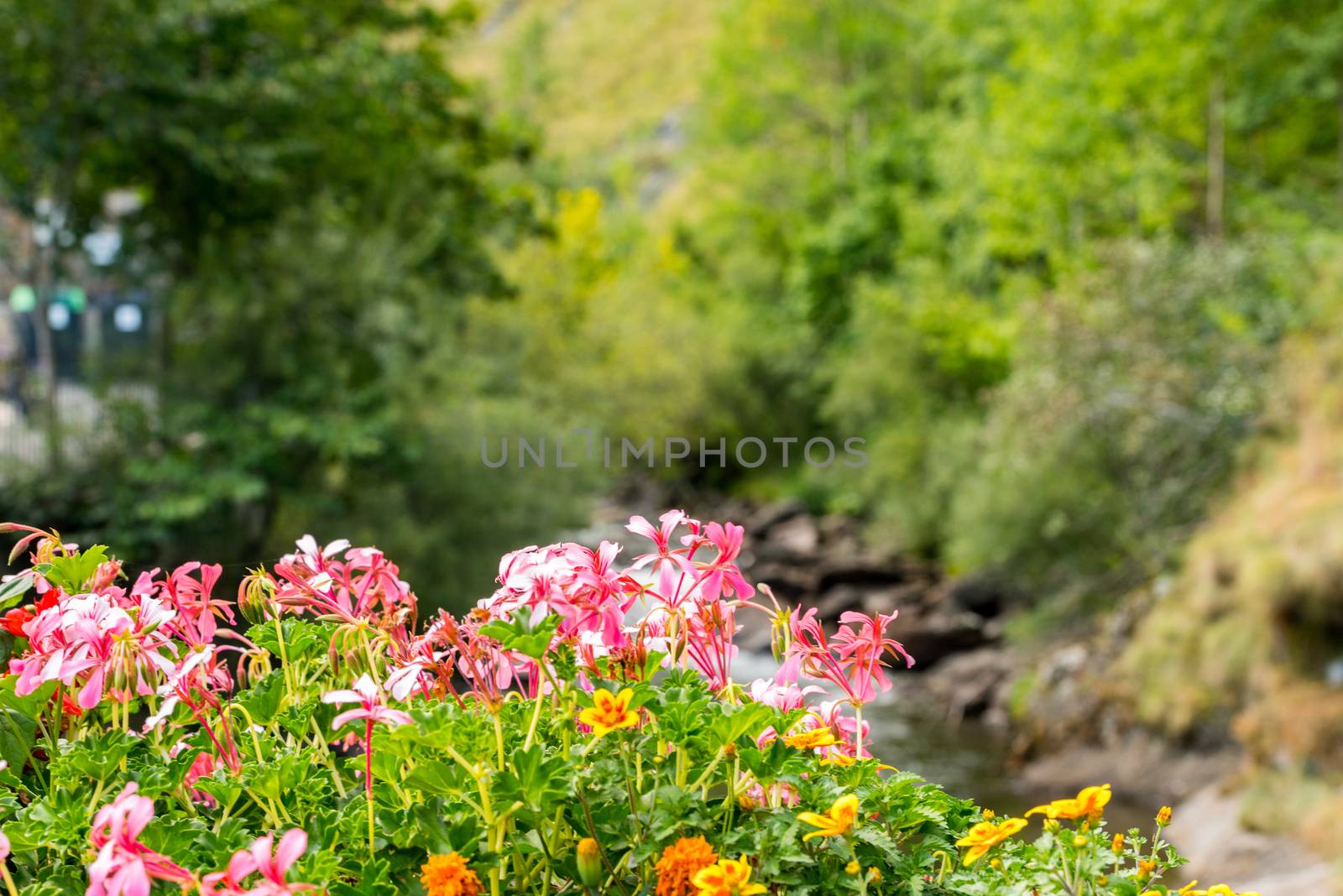 Valira del Orient river in Cami Ral in summer in Andorra.