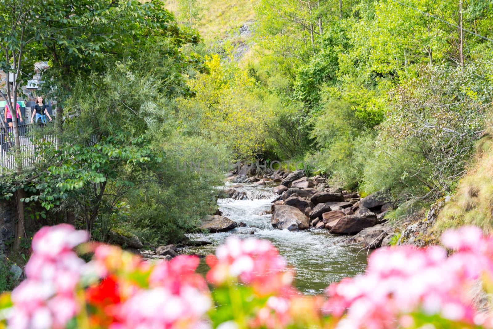 Valira del Orient river in Cami Ral in summer in Andorra.