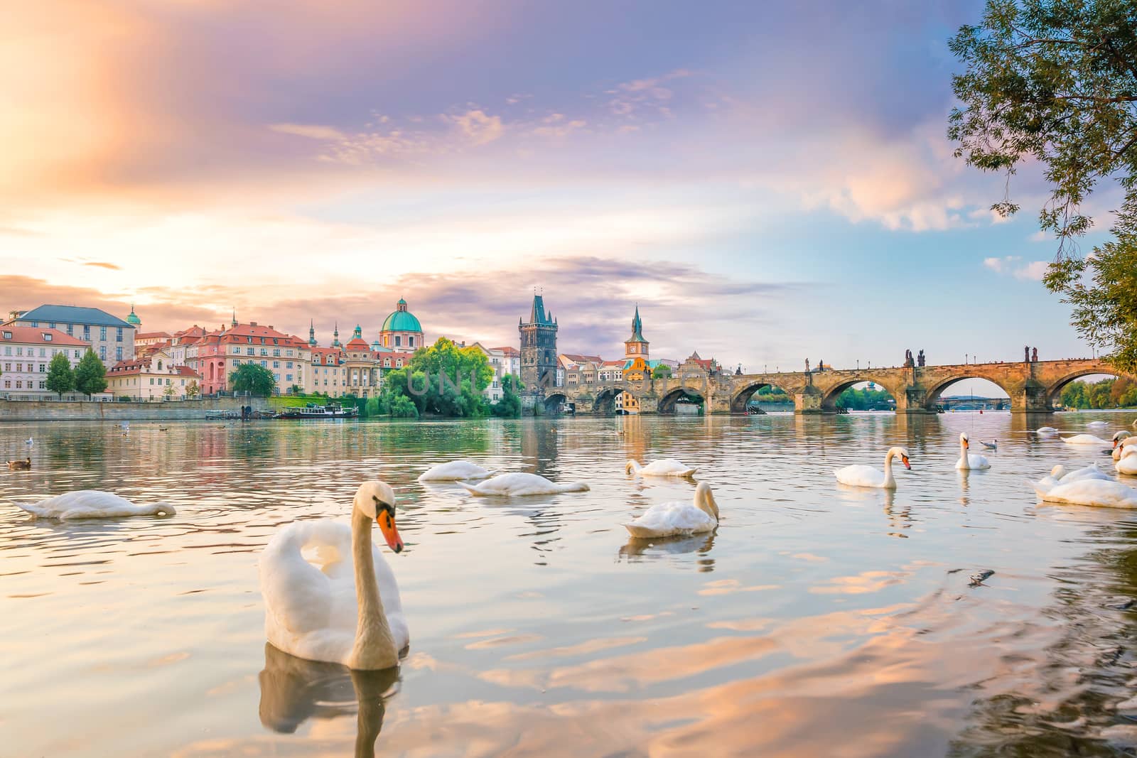 Famous iconic image of Charles bridge and Praguecity skyline by f11photo