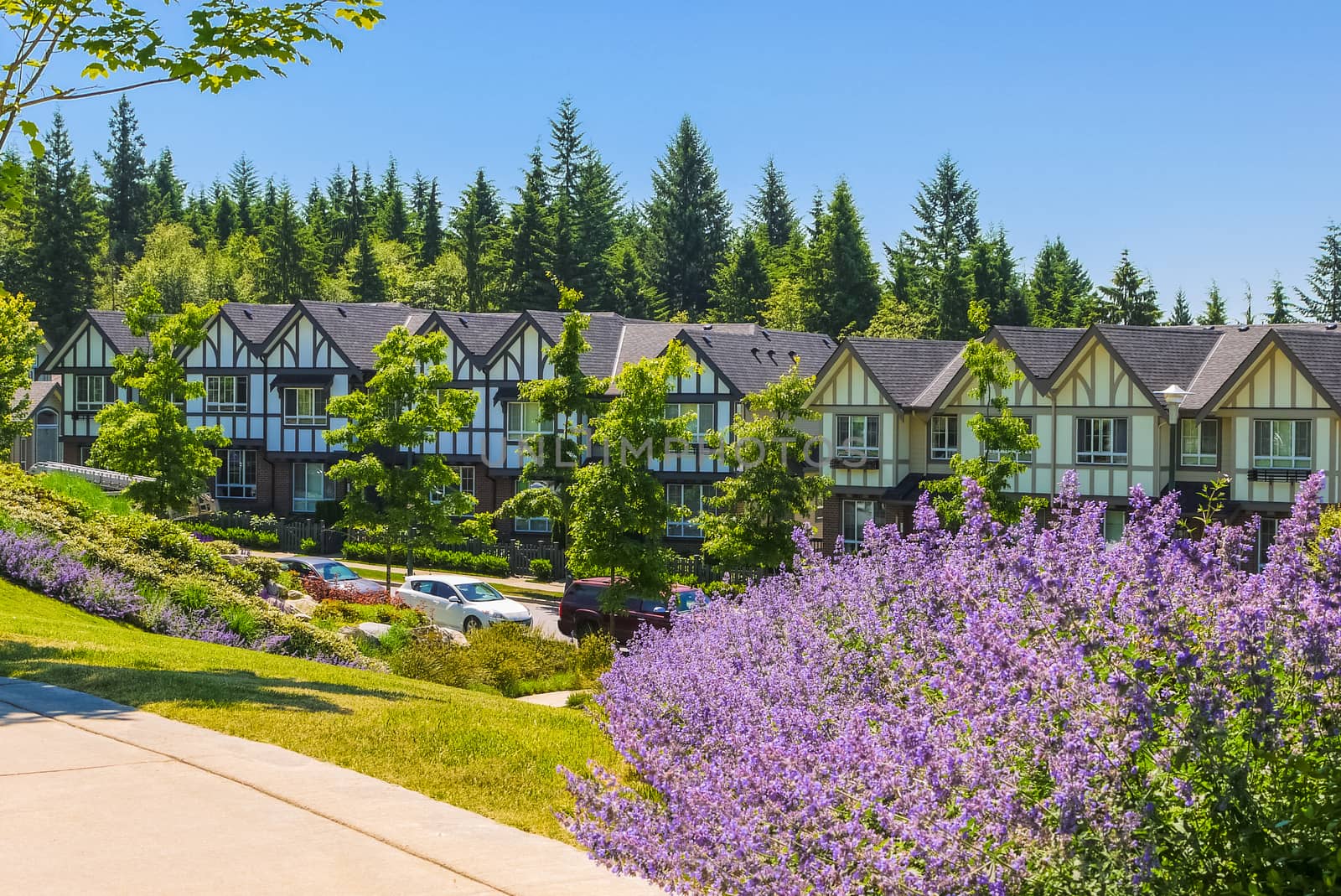Street of new townhouses with cars parked in front. View at row of new townhomes on sunny day
