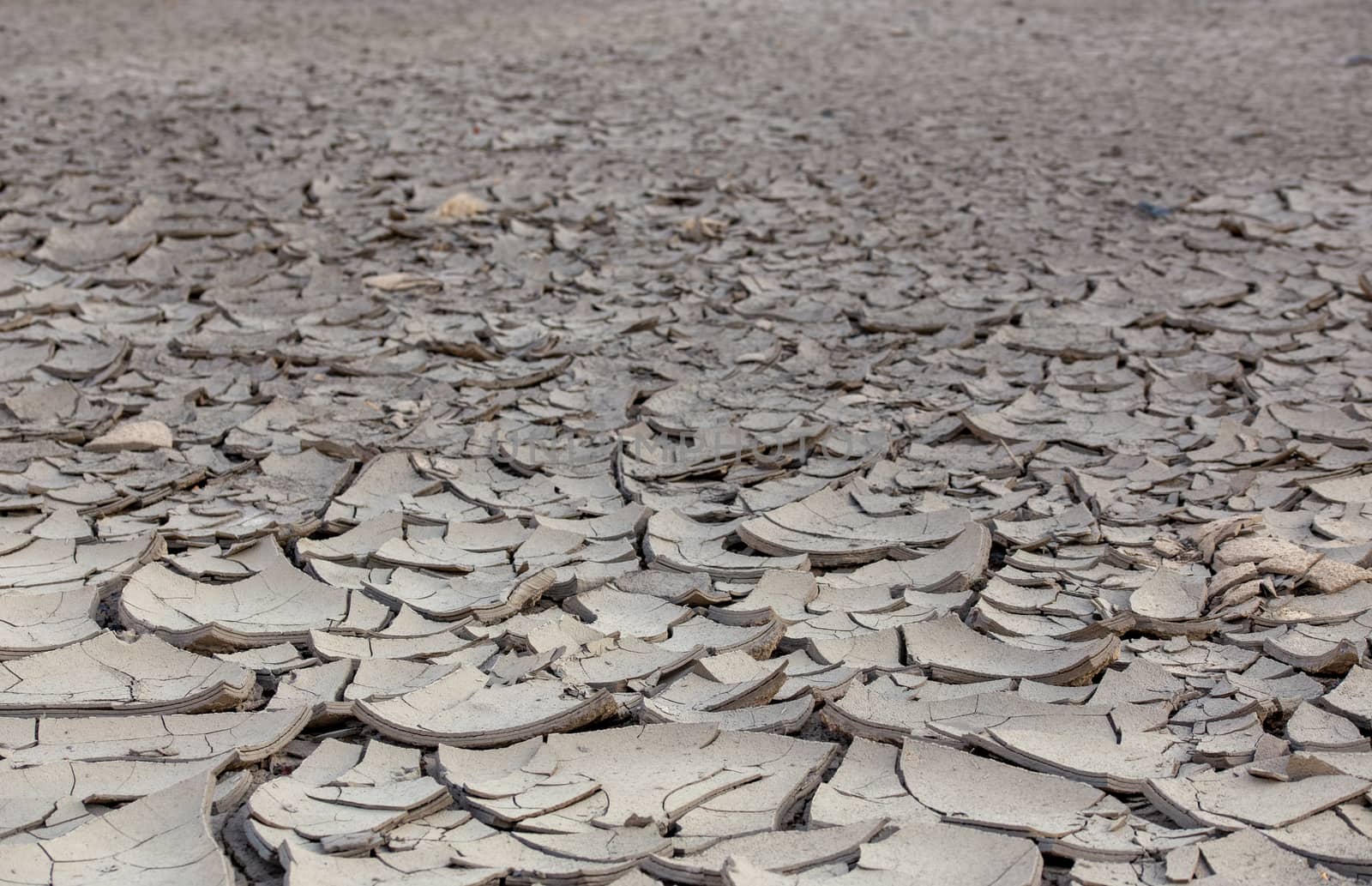 dry cracked mud desert like gray background, scorched earth with selective focus and blur