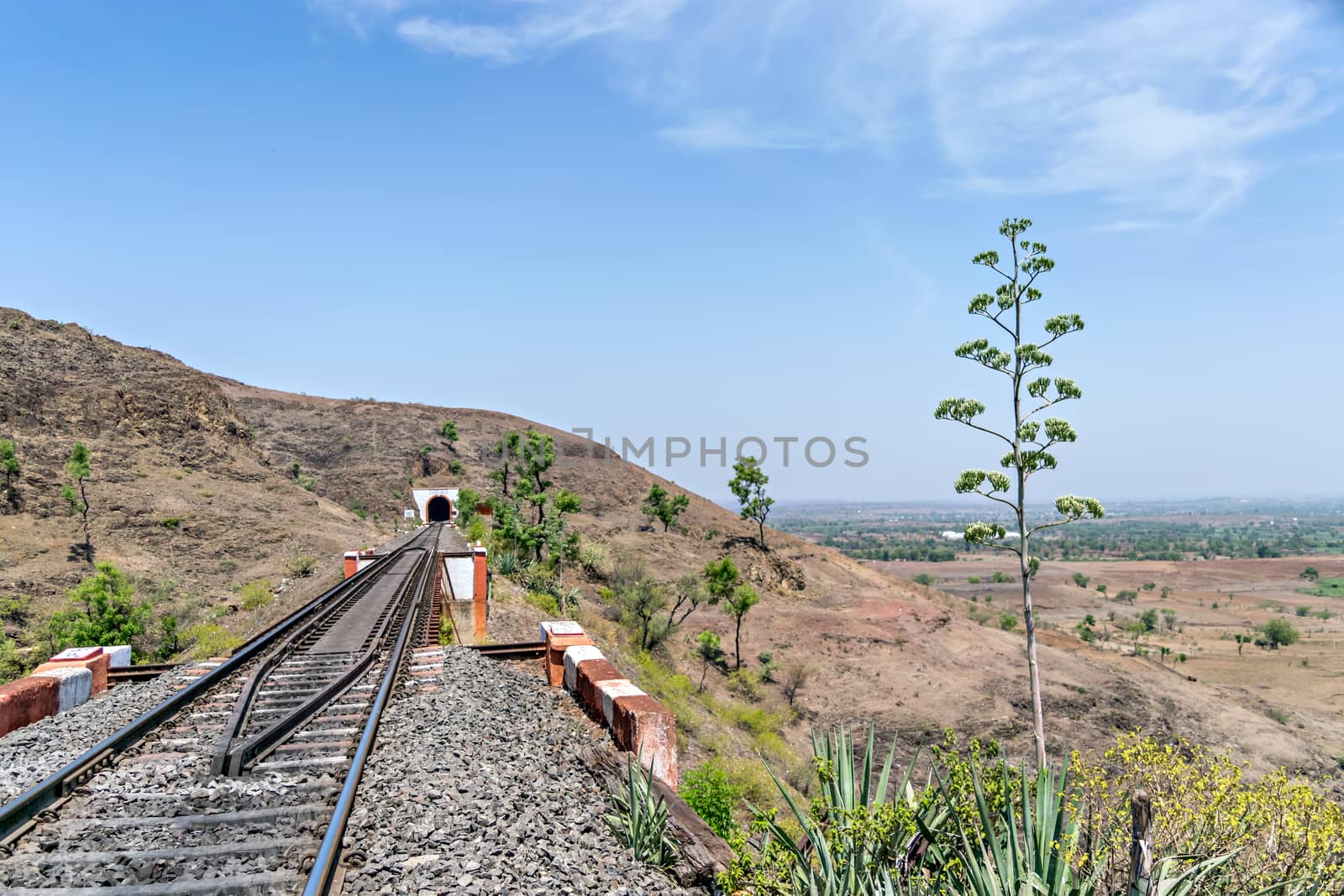 Single line railway track passing over bridge to enter a tunnel with Agawe tree on side and clear blue sky background.