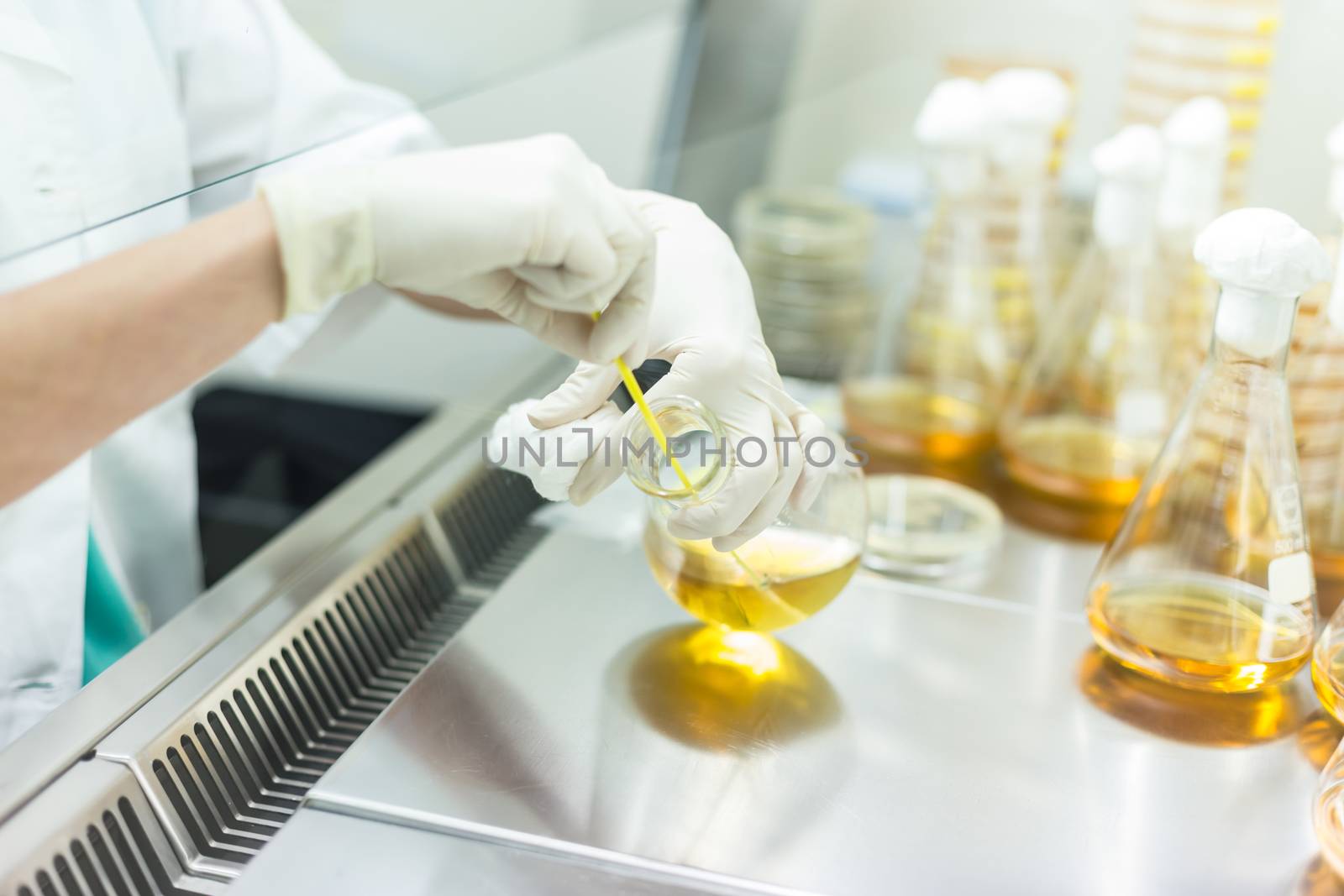 Female scientist working with bacteria in laminar flow at corona virus vaccine development laboratory research facility. by kasto