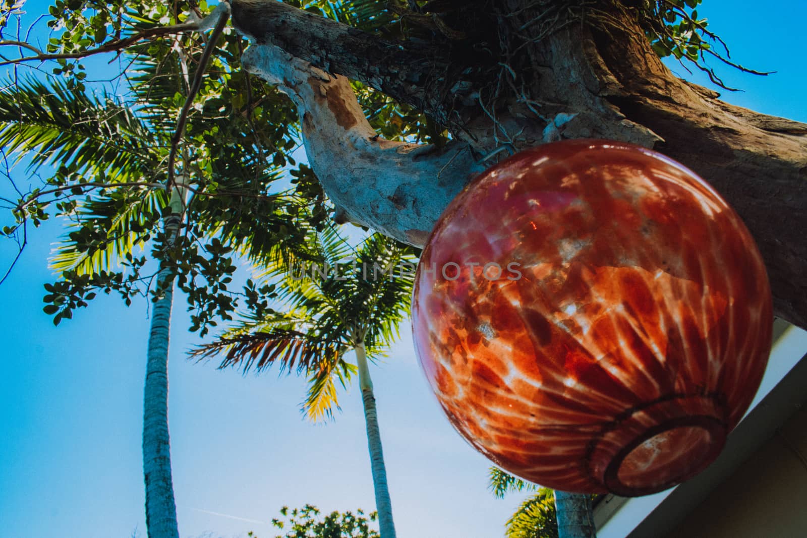 A Large Round Tree Ornament Hanging From a Palm Tree