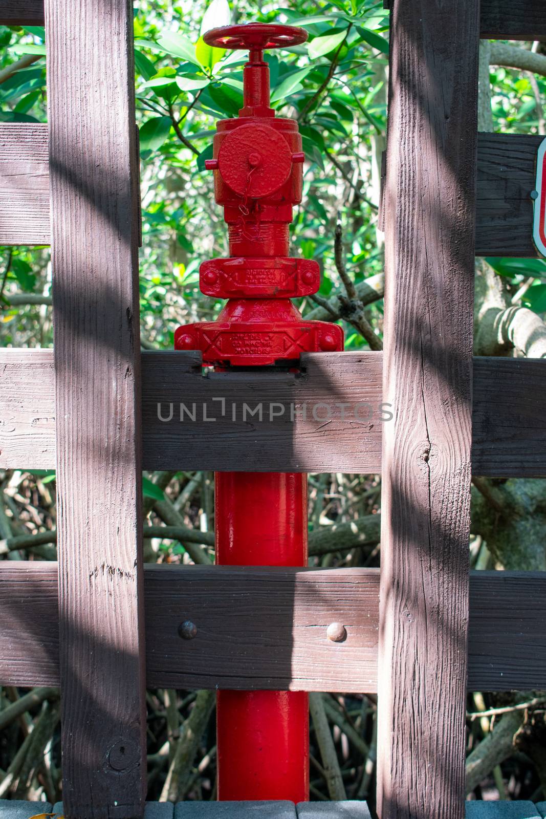 A Bright Red Fire Hydrant on a Boardwalk in a Lush Green Forest