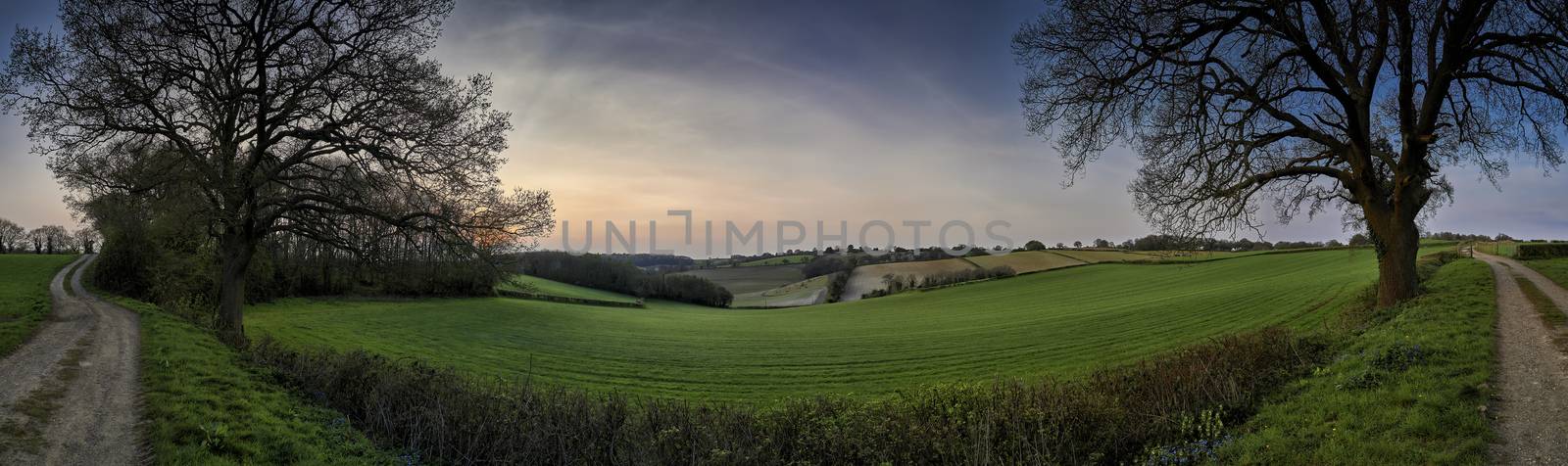 Panoramic view of landscape overlooking fields at sunset in The Chilterns, England